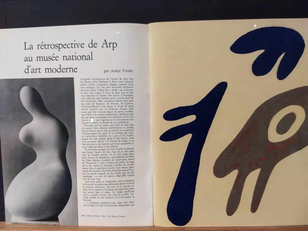 Illustriertes Buch Arp - Xxe No 19