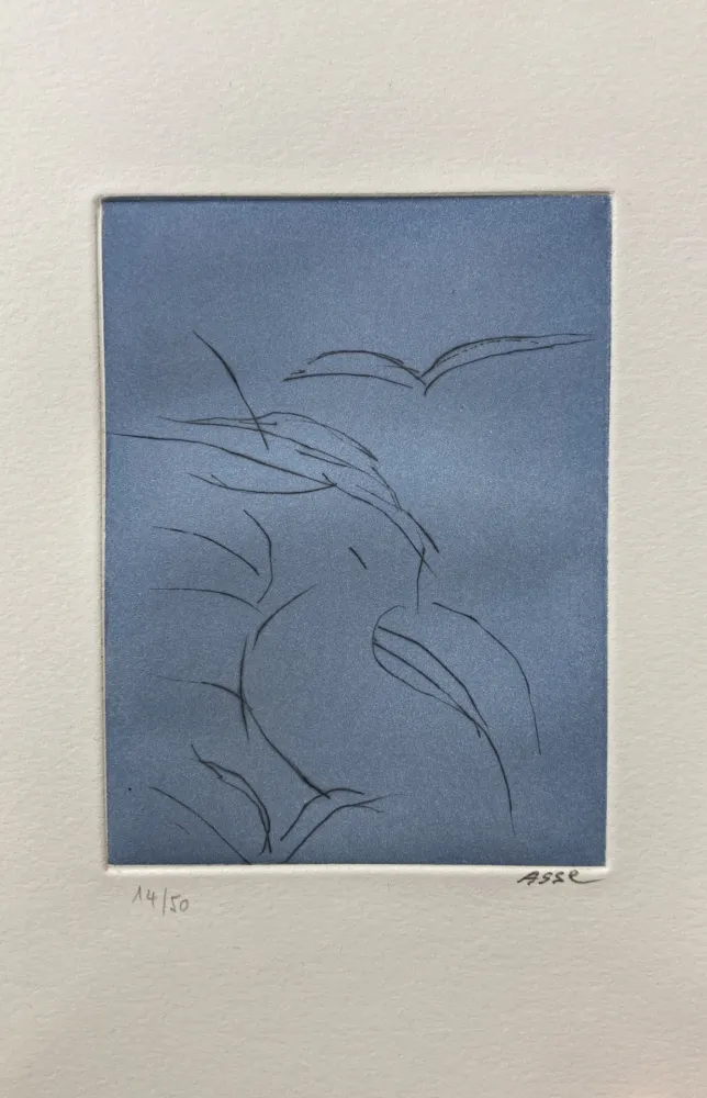 Illustriertes Buch Asse - Notes sur Thème. 9 pointes sèches. 