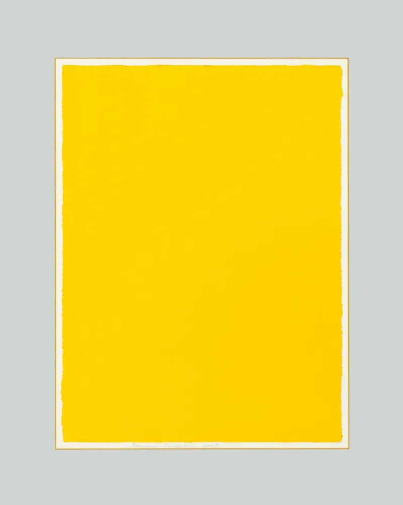 Keine Technische Aubertin - Monocromo giallo