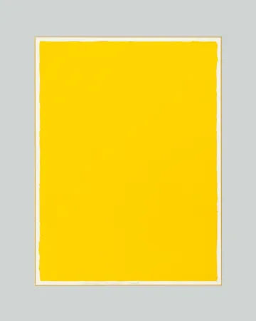 Keine Technische Aubertin - Monocromo giallo