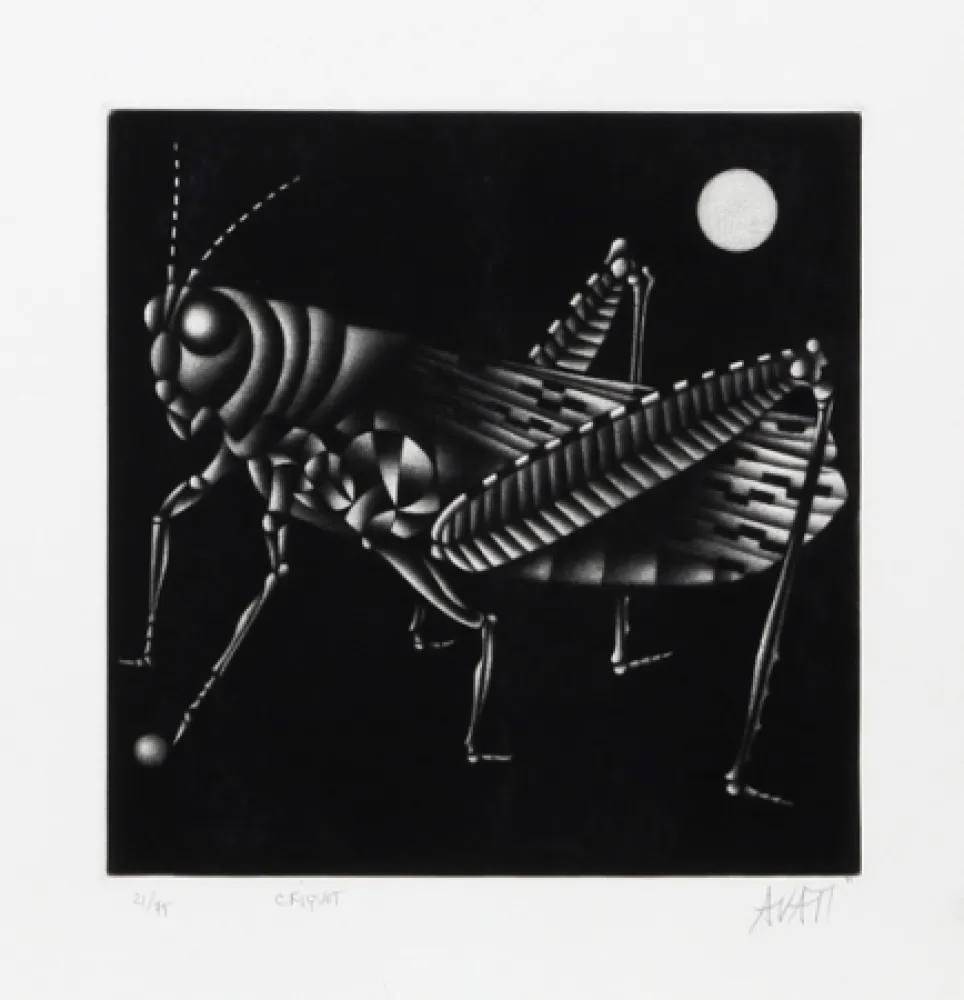 Mezzotinto Avati - Criquet