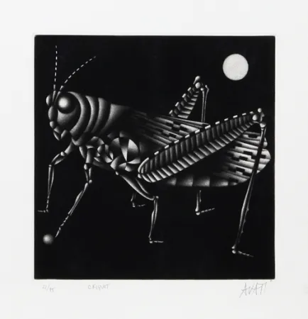 Mezzotinto Avati - Criquet