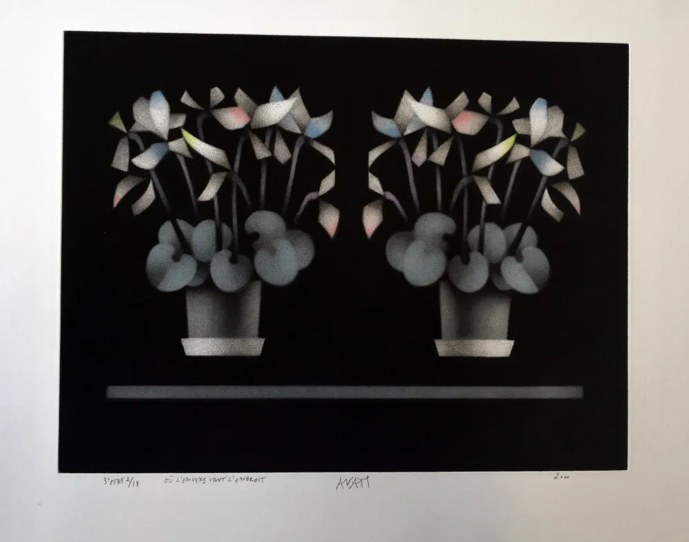 Mezzotinto Avati - Ou l'enverse vaut l'endroit