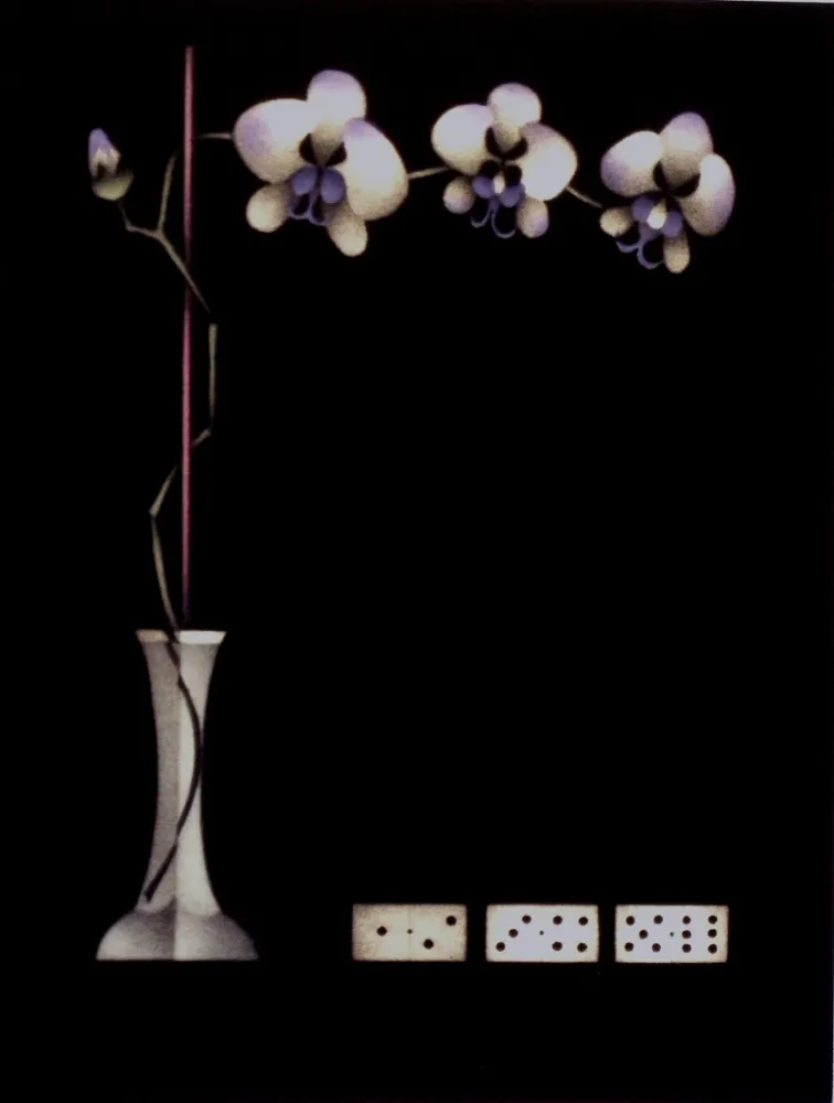 Mezzotinto Avati - Une théorie de dominos