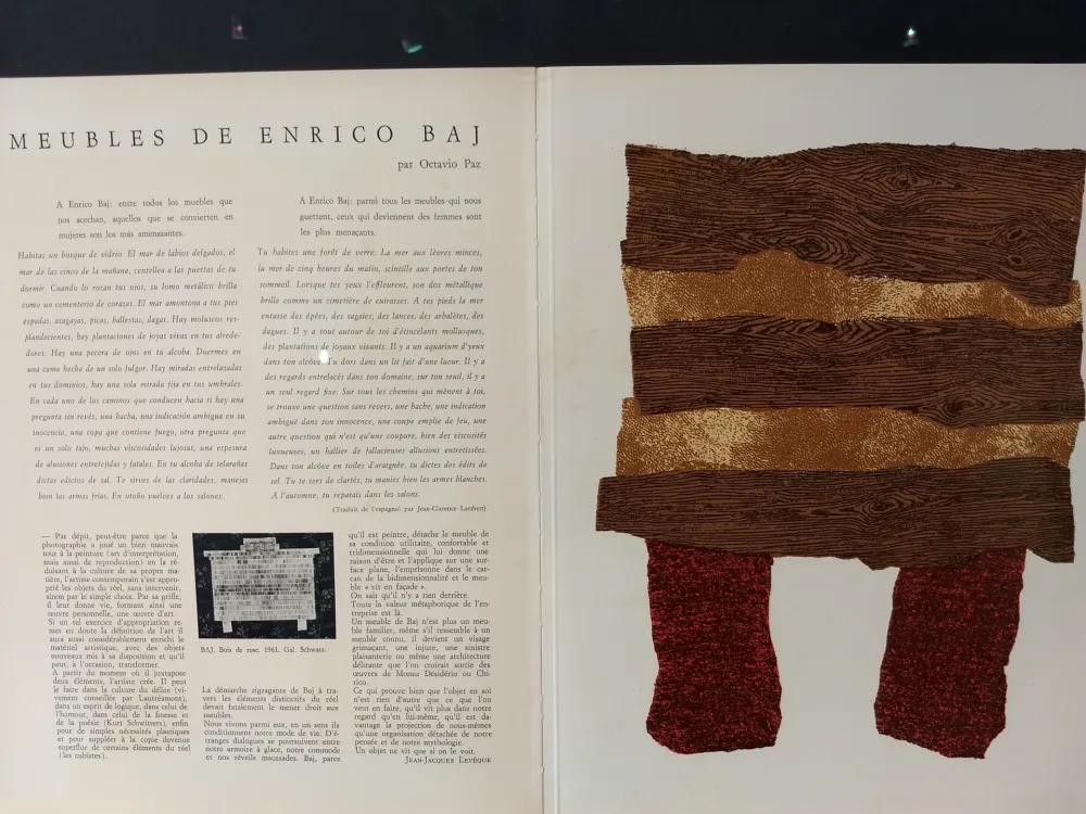 Illustriertes Buch Baj - Xxe No 20