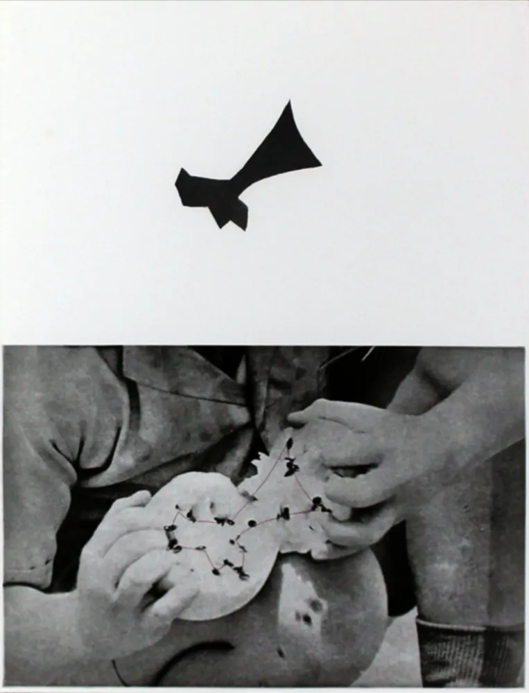 Radierung Und Aquatinta Baldessari - Seeds
