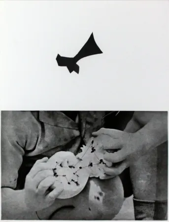 Radierung Und Aquatinta Baldessari - Seeds