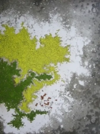 Stich Ballif - LeVenez