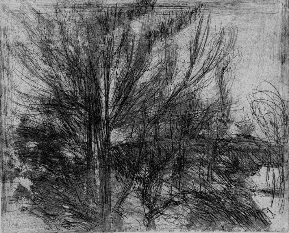 Radierung Barbisan - Alberi