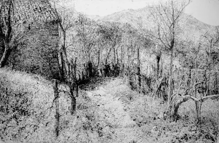 Radierung Barbisan - Paesaggio in collina