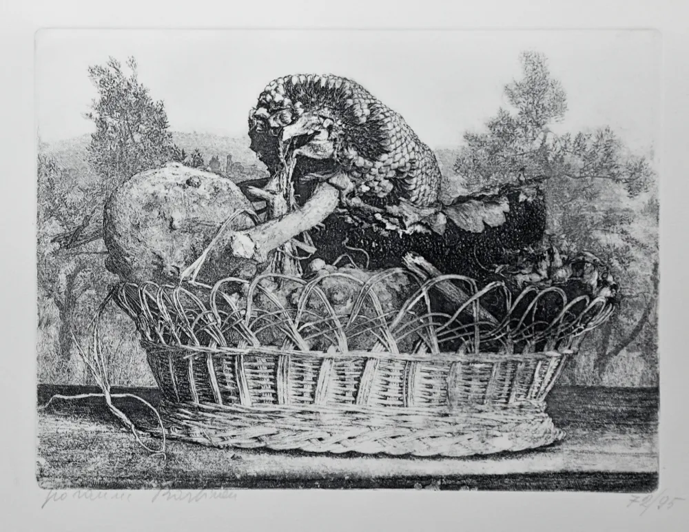 Stich Barbisan - SENZA TITOLO