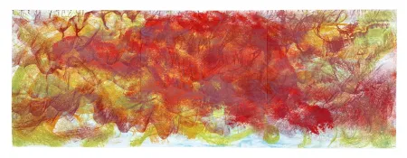 Lithographie Barcelo - La Tortue