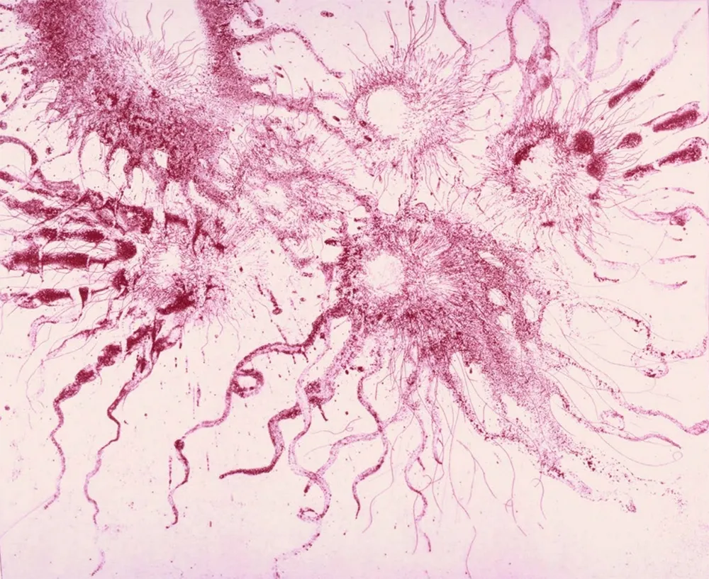 Radierung Und Aquatinta Barcelo - Lanzarote 20