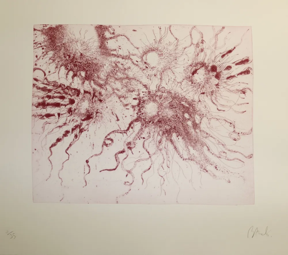 Radierung Und Aquatinta Barcelo - Lanzarote 20