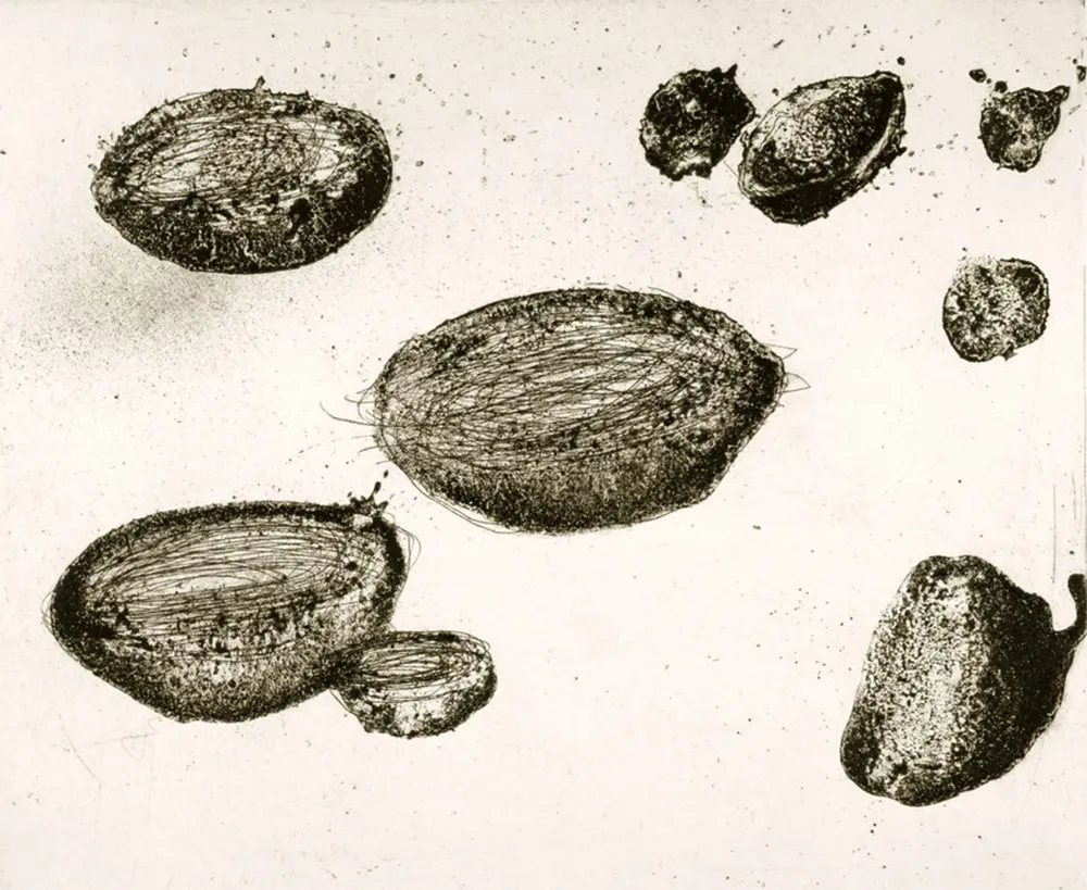 Radierung Und Aquatinta Barcelo - Lanzarote 22