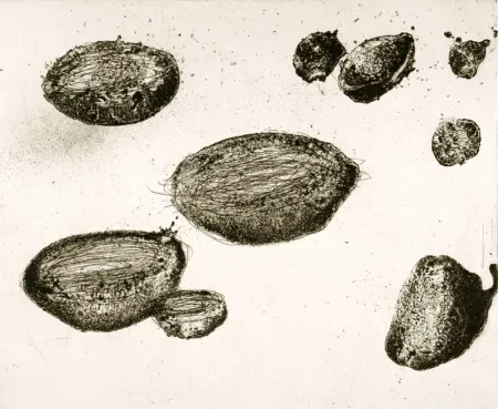 Radierung Und Aquatinta Barcelo - Lanzarote 22