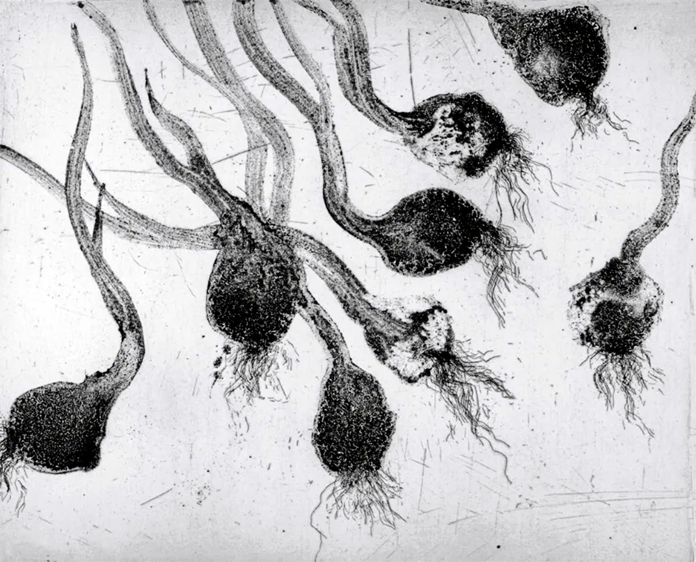 Radierung Und Aquatinta Barcelo - Lanzarote 24