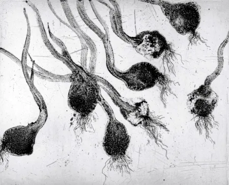 Radierung Und Aquatinta Barcelo - Lanzarote 24