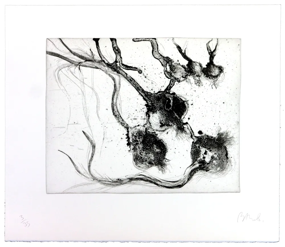 Stich Barcelo - Lanzarote 25