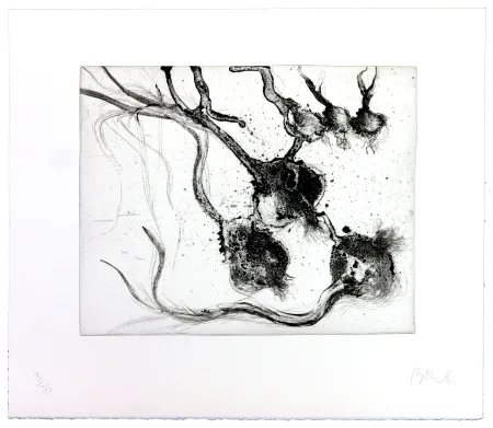 Stich Barcelo - Lanzarote 25