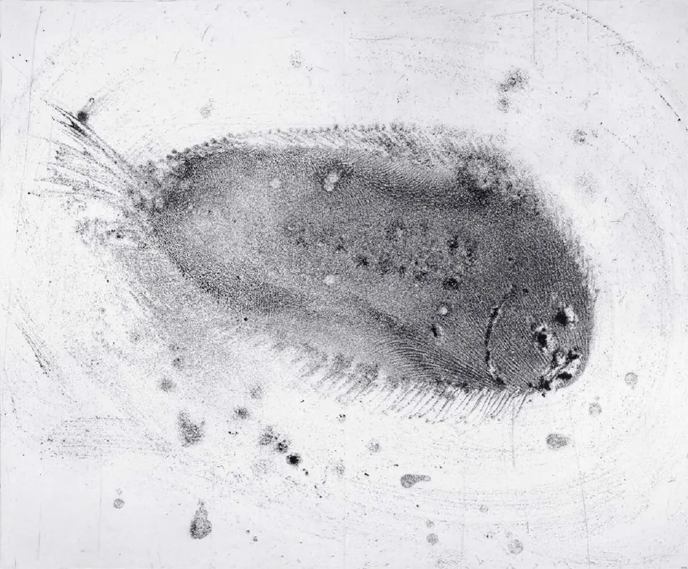 Radierung Und Aquatinta Barcelo - Lanzarote 39