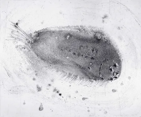 Radierung Und Aquatinta Barcelo - Lanzarote 39