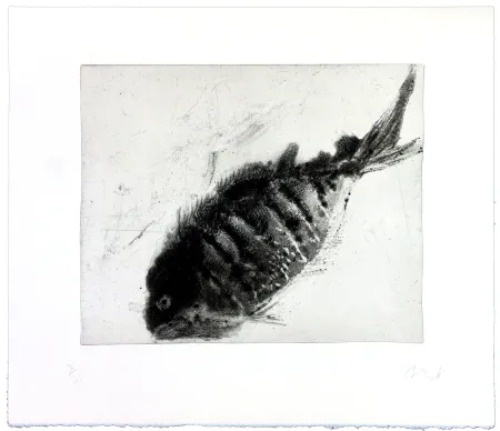 Stich Barcelo - Lanzarote 39