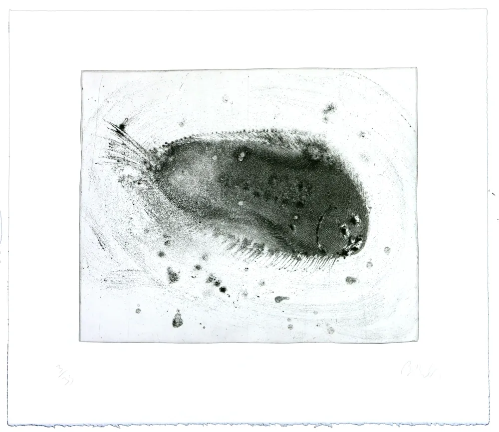 Stich Barcelo - Lanzarote 39