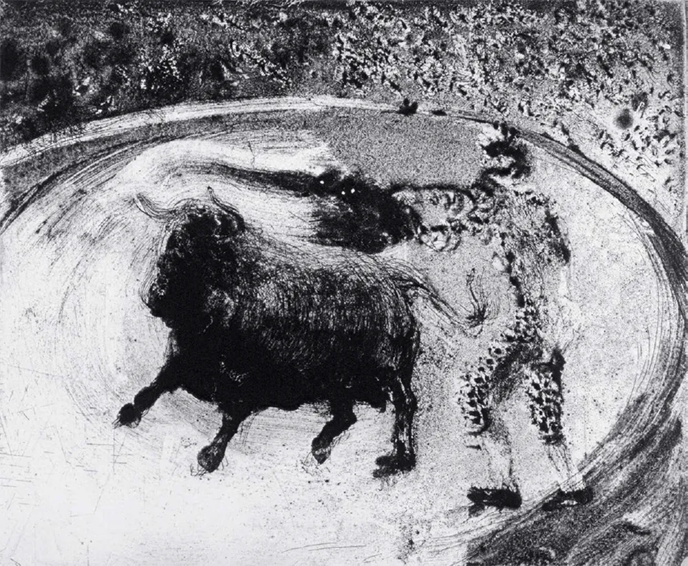 Aquatinta Barcelo - Lanzarote 49