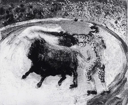 Aquatinta Barcelo - Lanzarote 49