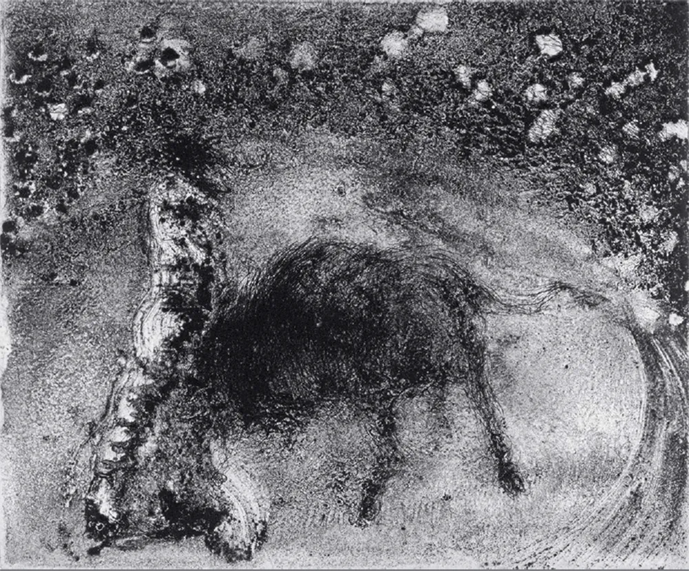 Aquatinta Barcelo - Lanzarote 50