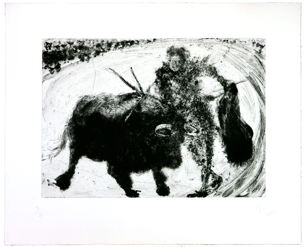 Stich Barcelo - Lanzarote 53