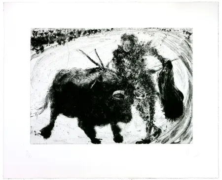 Stich Barcelo - Lanzarote 53