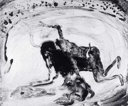 Aquatinta Barcelo - Lanzarote 55