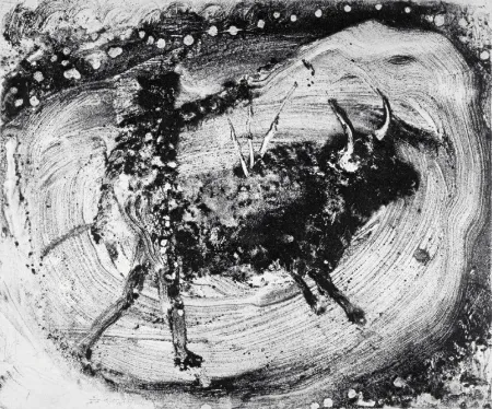 Aquatinta Barcelo - Lanzarote 59