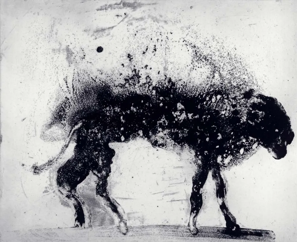 Radierung Und Aquatinta Barcelo - Lanzarote 8