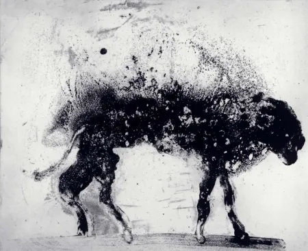 Radierung Und Aquatinta Barcelo - Lanzarote 8