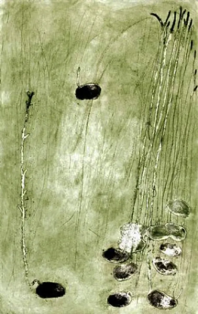 Stich Barcelo - Les germes 