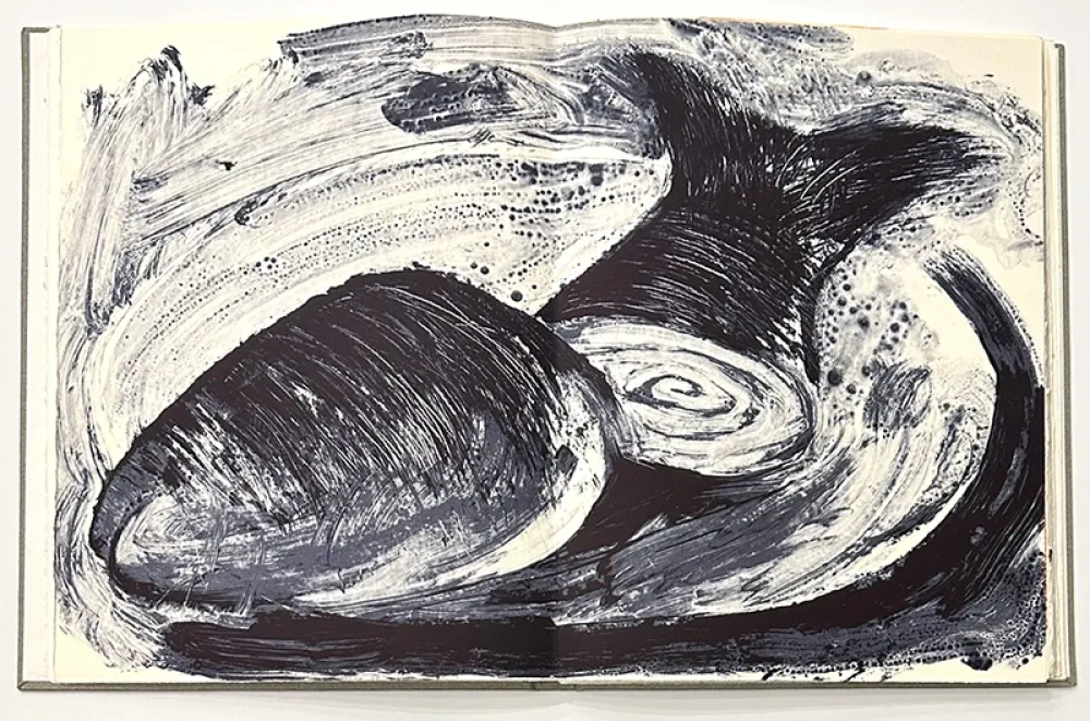 Illustriertes Buch Barcelo - Noise - Deluxe Edition