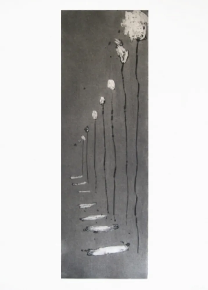 Stich Barcelo - Réverbères