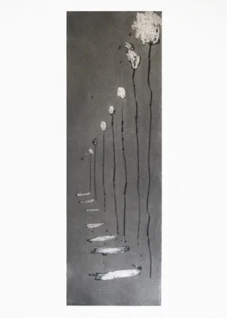 Stich Barcelo - Réverbères