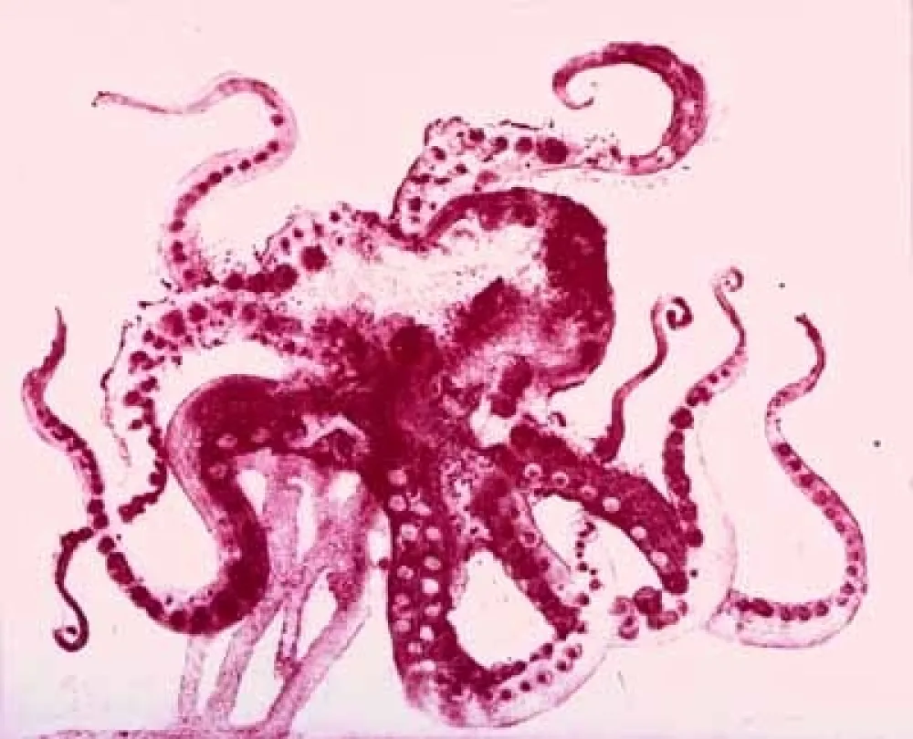 Aquatinta Barcelo - Serie Lanzarote 13