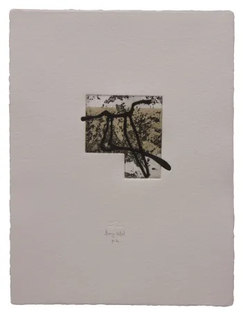 Radierung Und Aquatinta Baroja-Collet - Animal