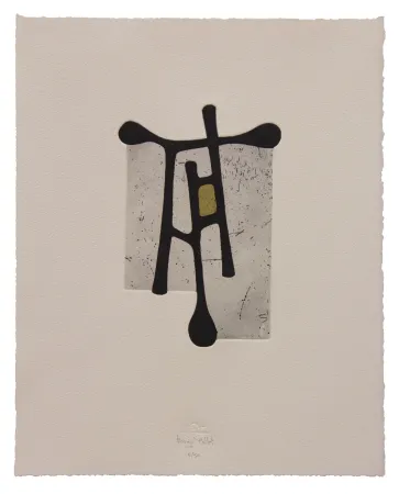 Radierung Und Aquatinta Baroja-Collet - Contraseña