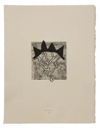 Radierung Und Aquatinta Baroja-Collet - Estructurada