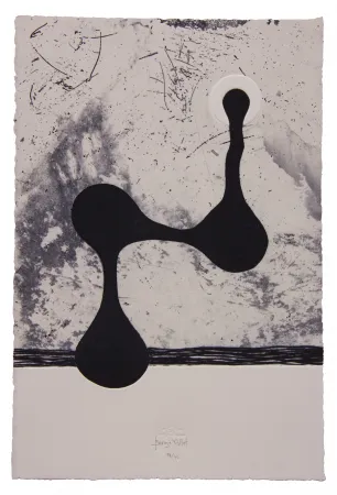 Radierung Und Aquatinta Baroja-Collet - Free them all