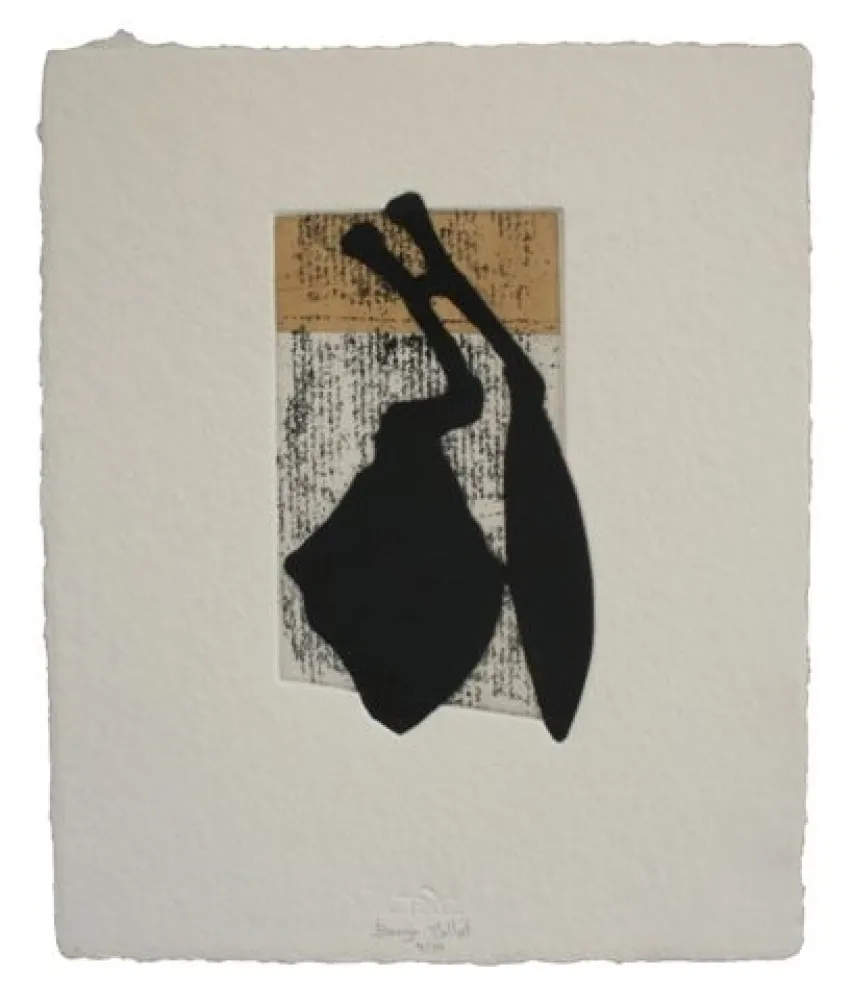 Radierung Und Aquatinta Baroja-Collet - Laia