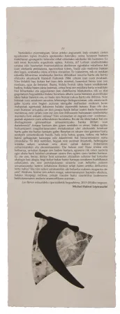 Illustriertes Buch Baroja-Collet - Neguko kronika hegoaldeko ordeketan