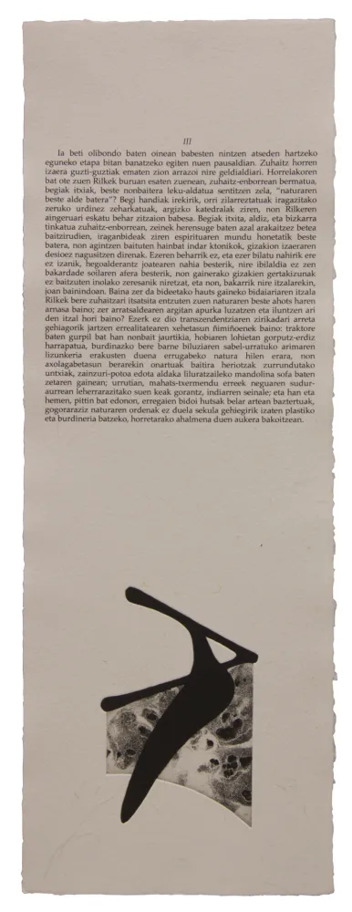 Illustriertes Buch Baroja-Collet - Neguko kronika hegoaldeko ordeketan