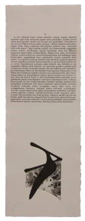 Illustriertes Buch Baroja-Collet - Neguko kronika hegoaldeko ordeketan